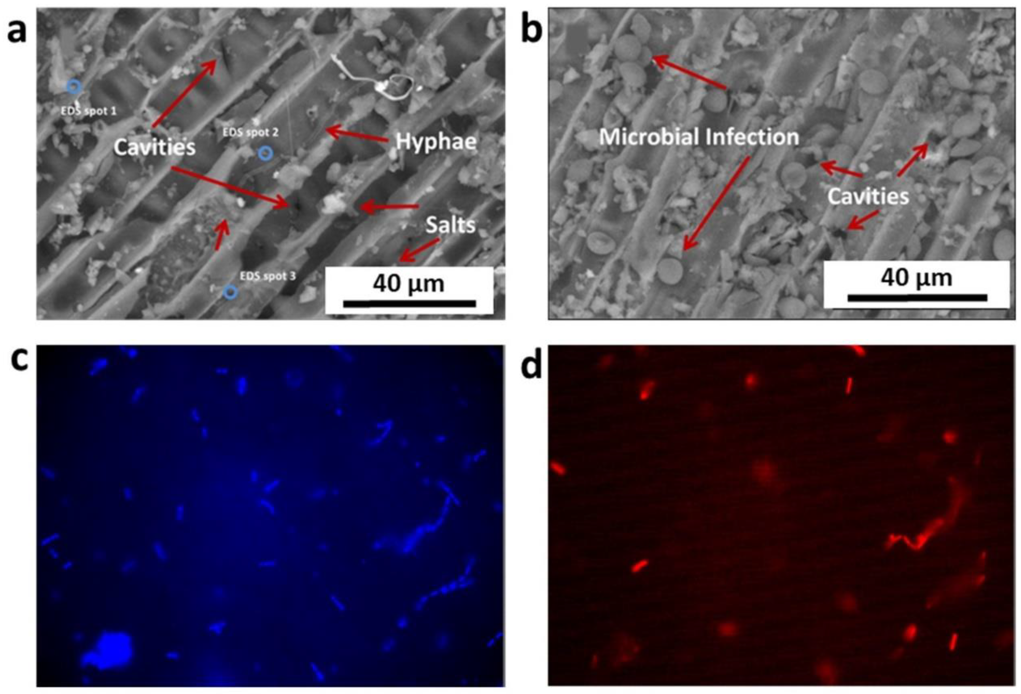 Applsci 12 07020 g005