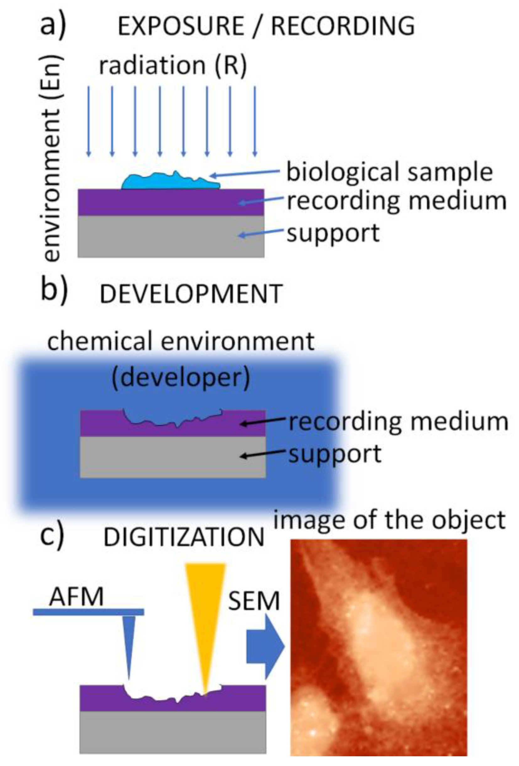 Applsci 12 07030 g001