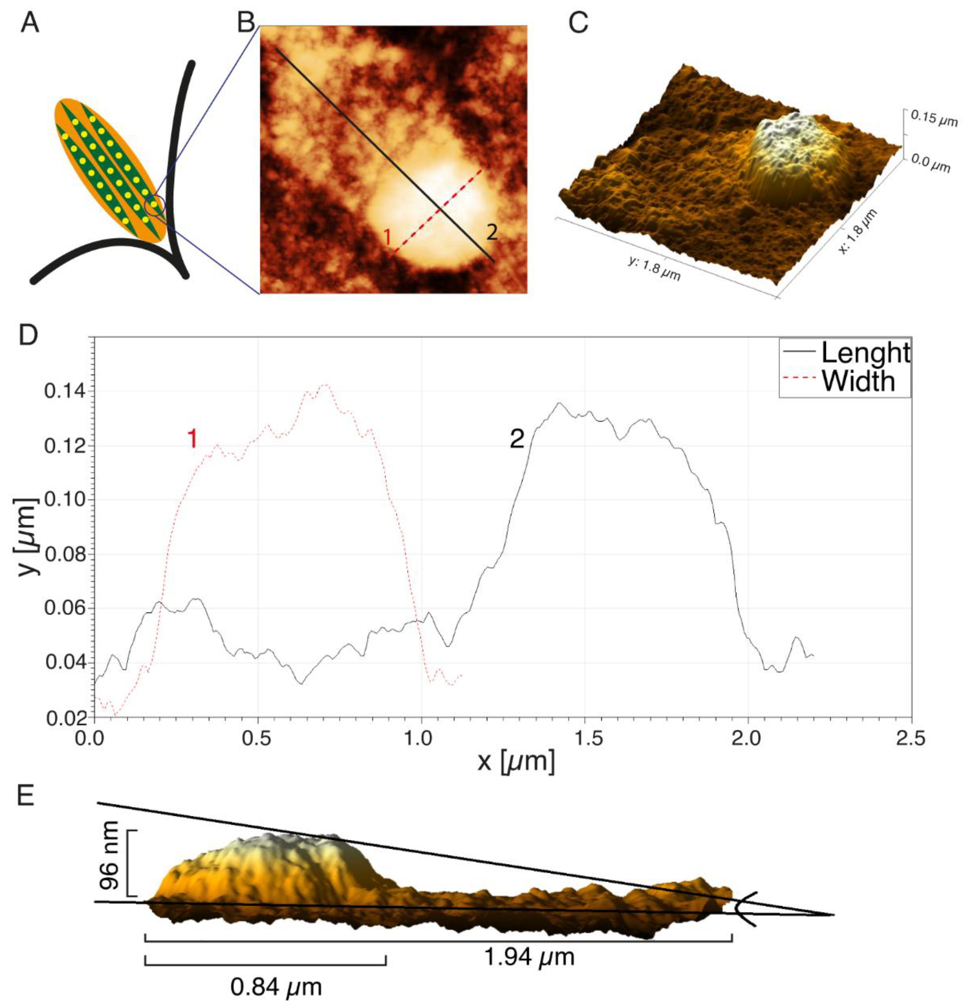 Applsci 12 07030 g004