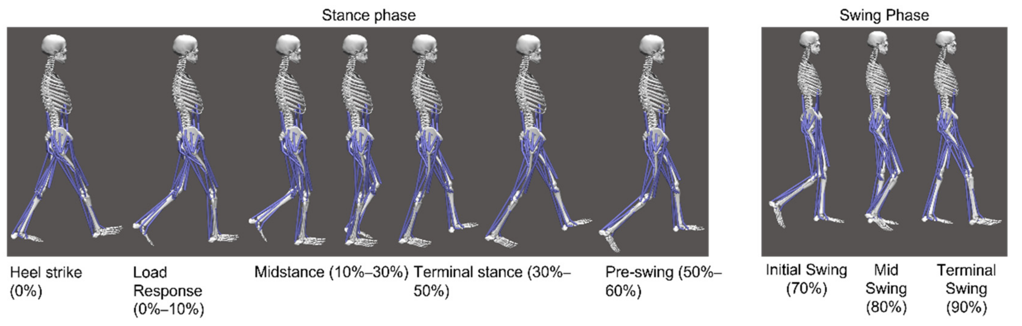 Applsci 12 07034 g004