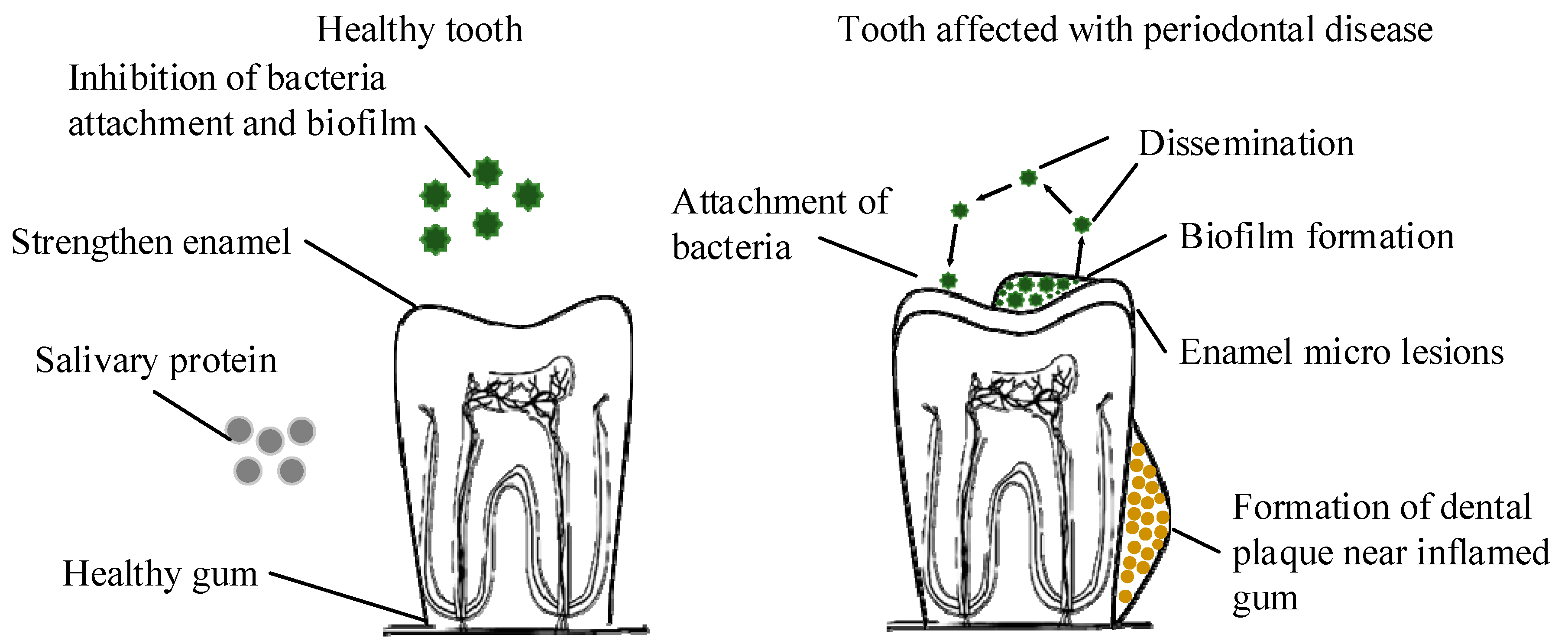 Applsci 12 07084 g002