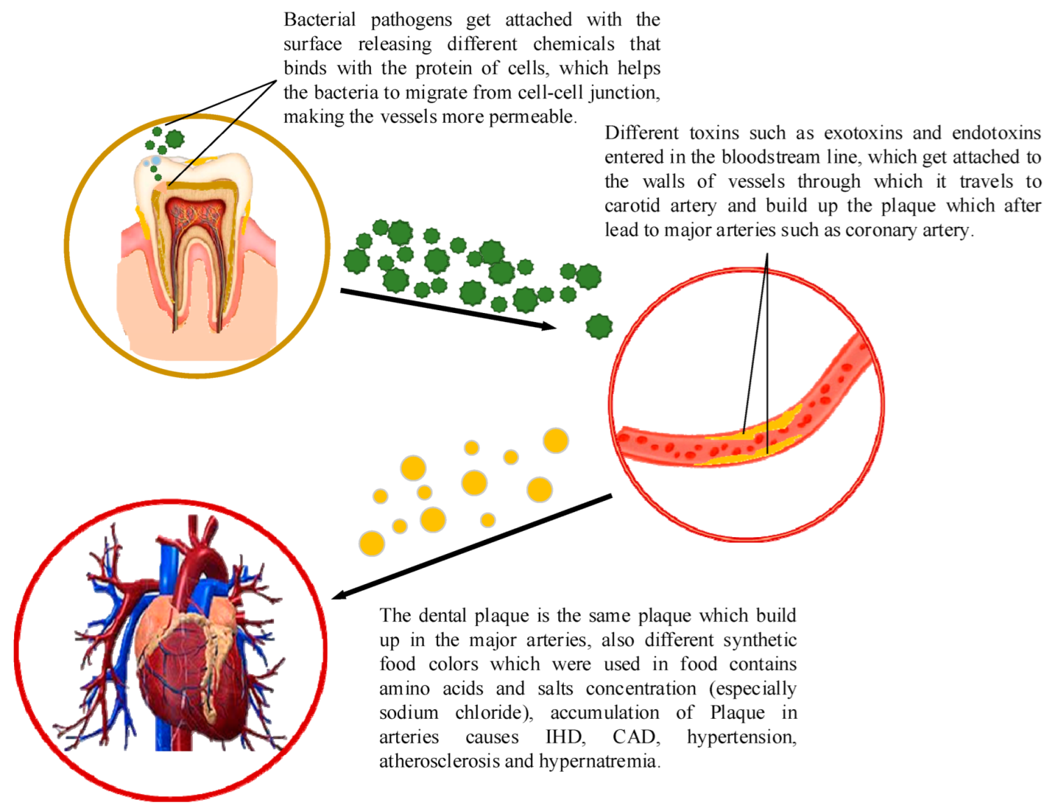 Applsci 12 07084 g003