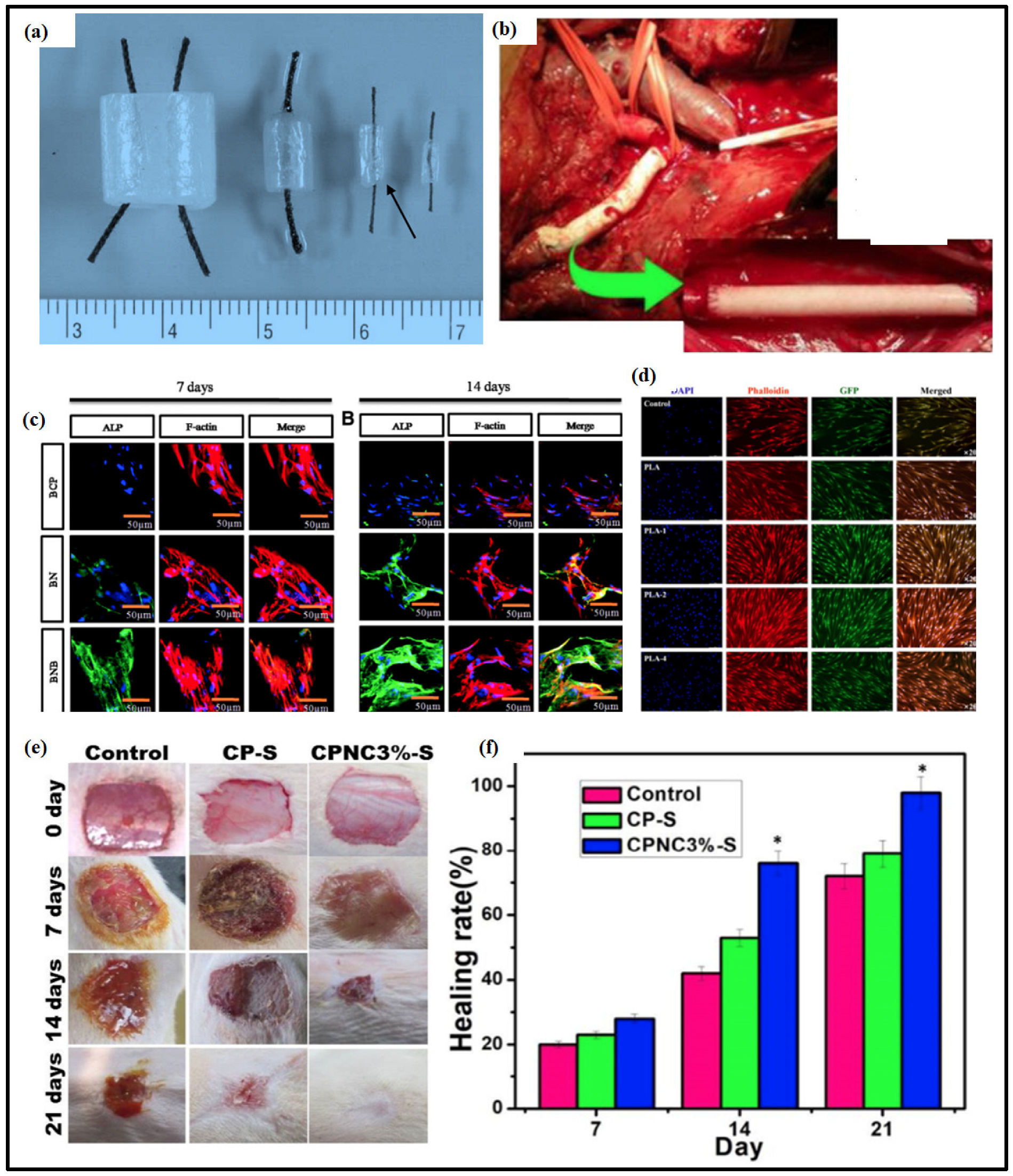 Applsci 12 07090 g004