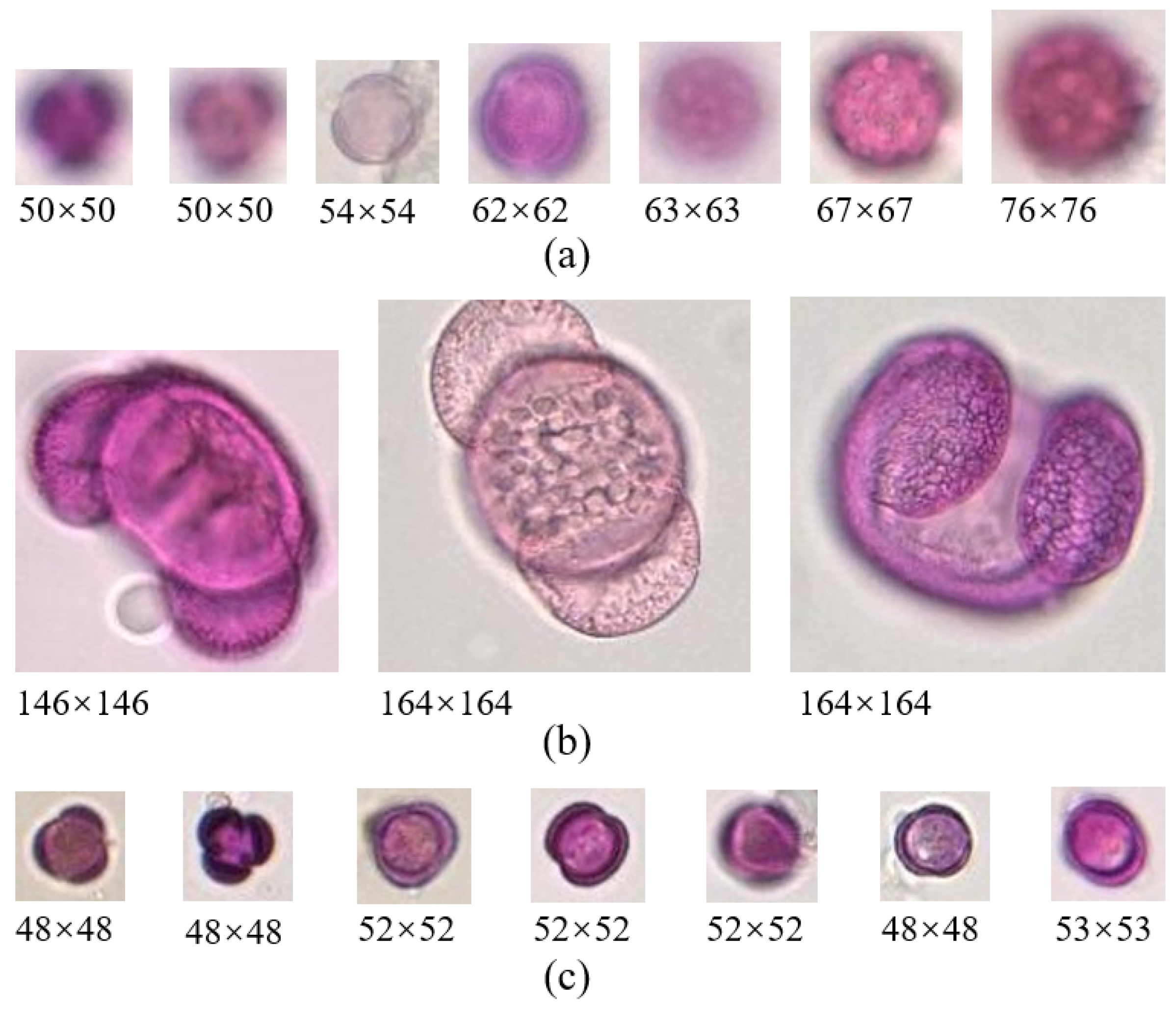 Applsci 12 07126 g004