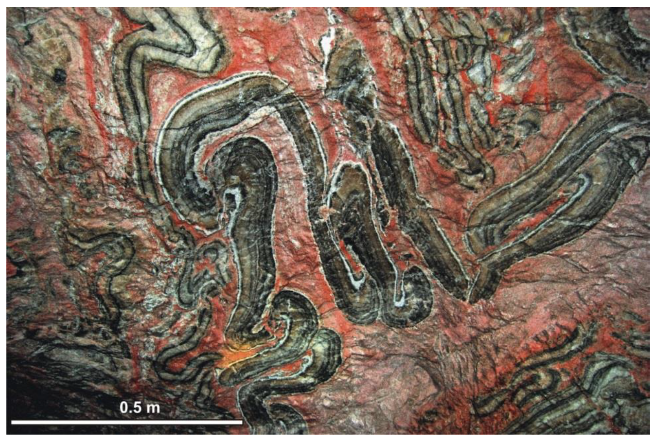 Applsci 12 07183 g009