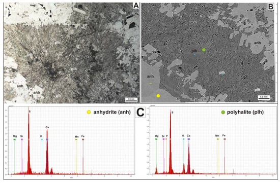 Applsci 12 07183 g011 550