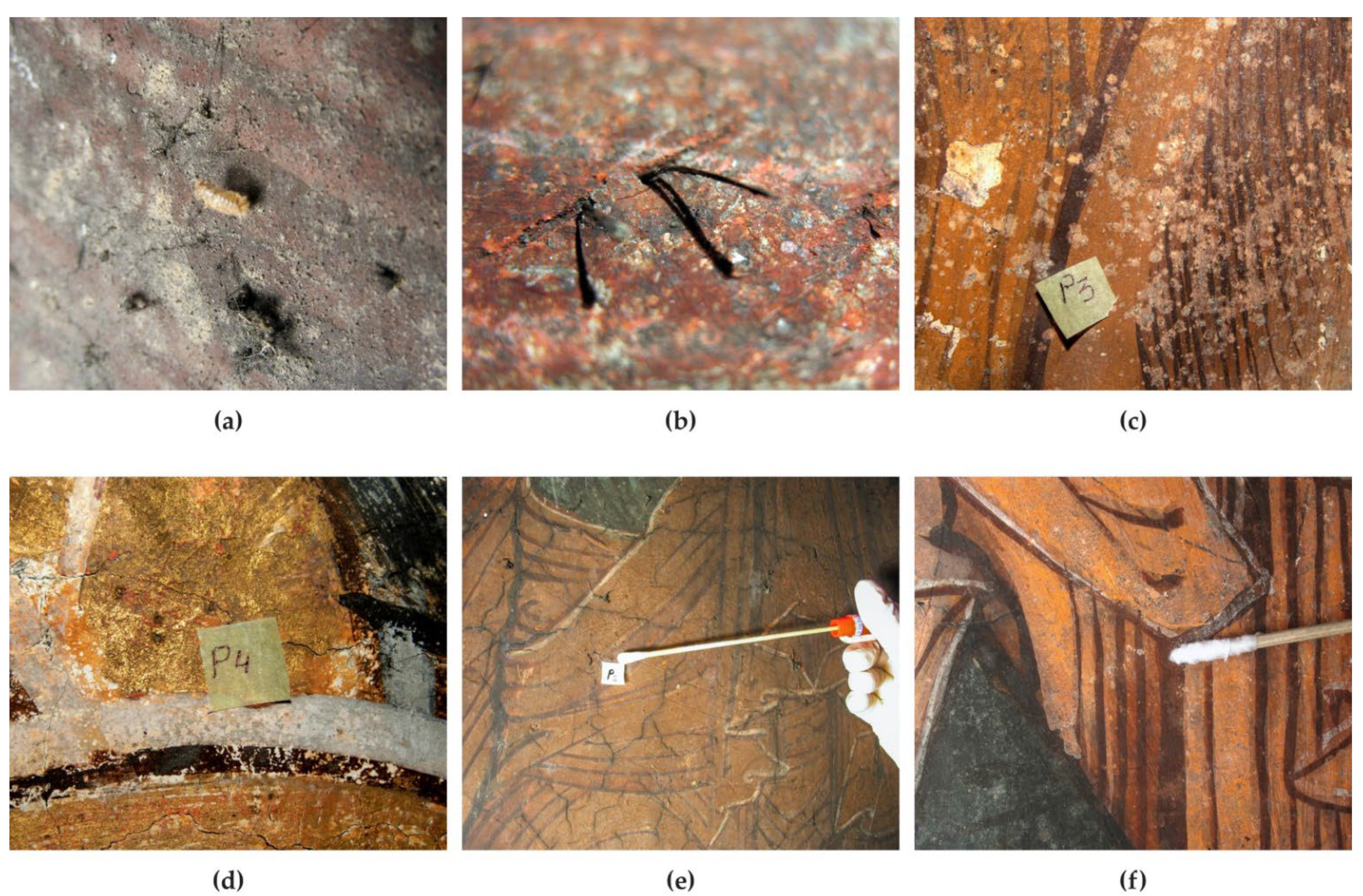 Applsci 12 07229 g001