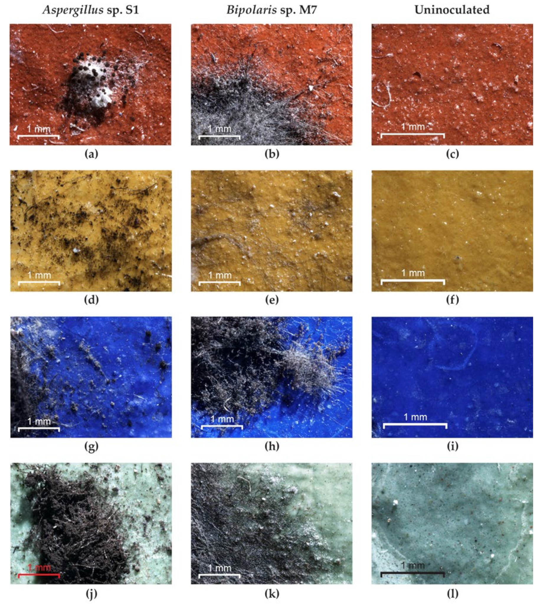 Applsci 12 07229 g008