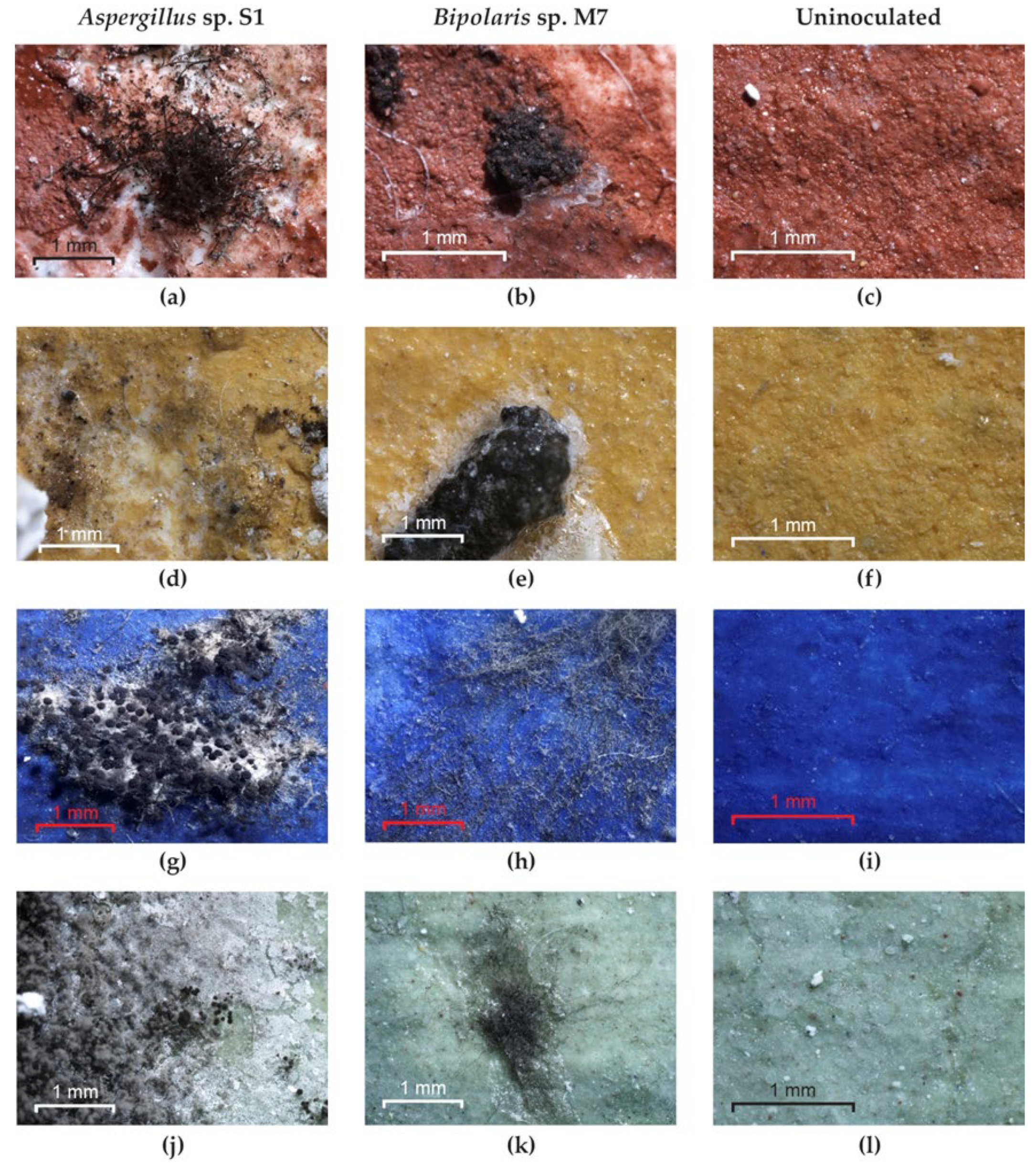 Applsci 12 07229 g009