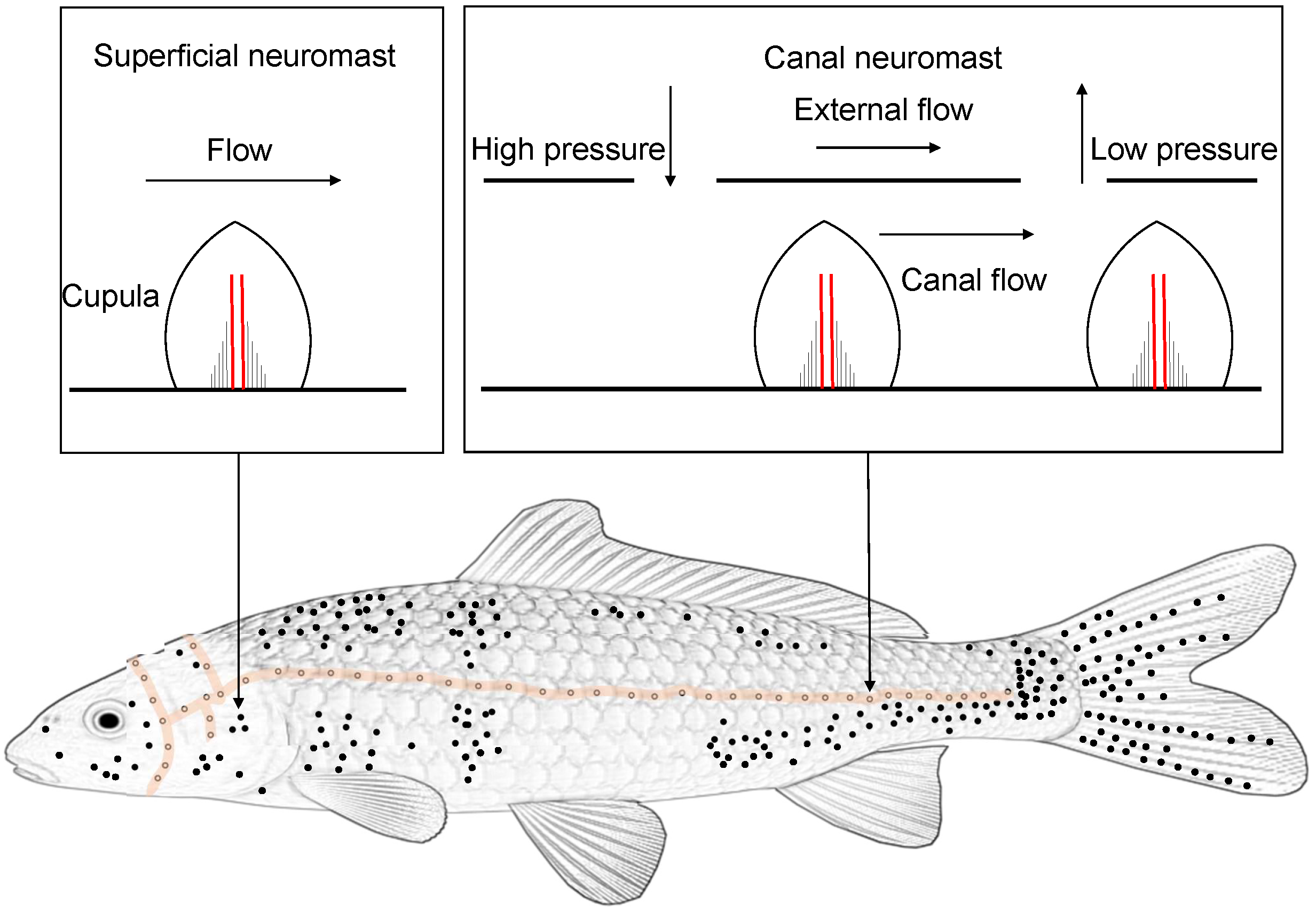 Applsci 12 07241 g001 Applsci 12 07241 g001