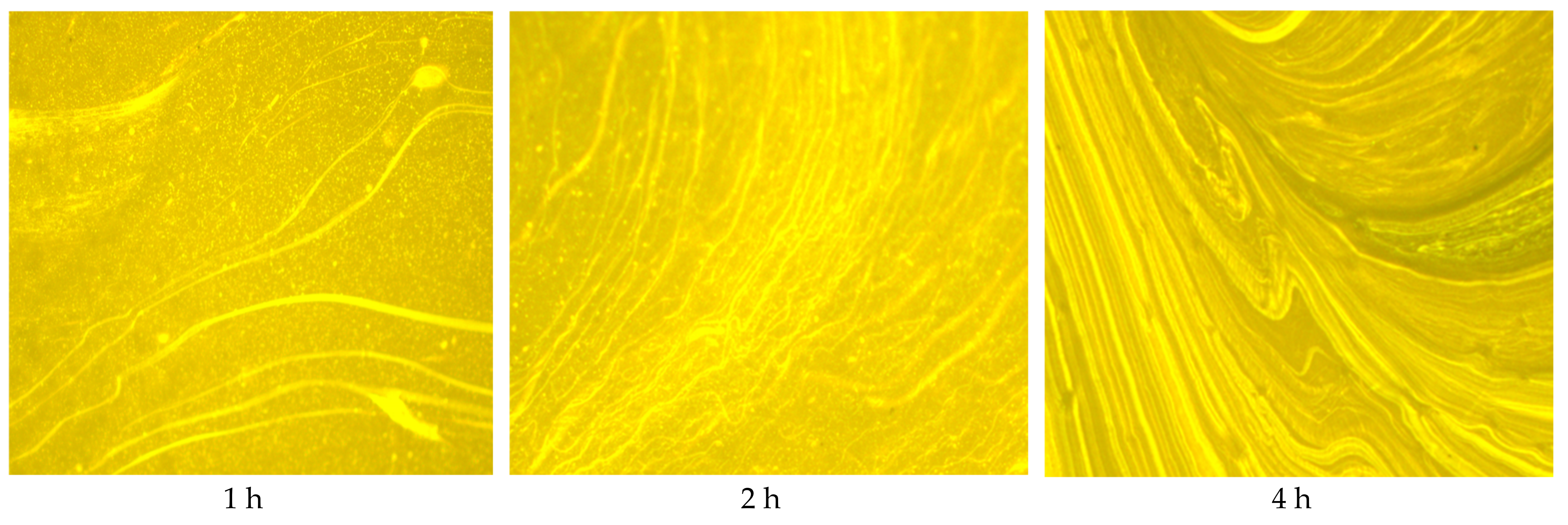 Applsci 12 07304 g007