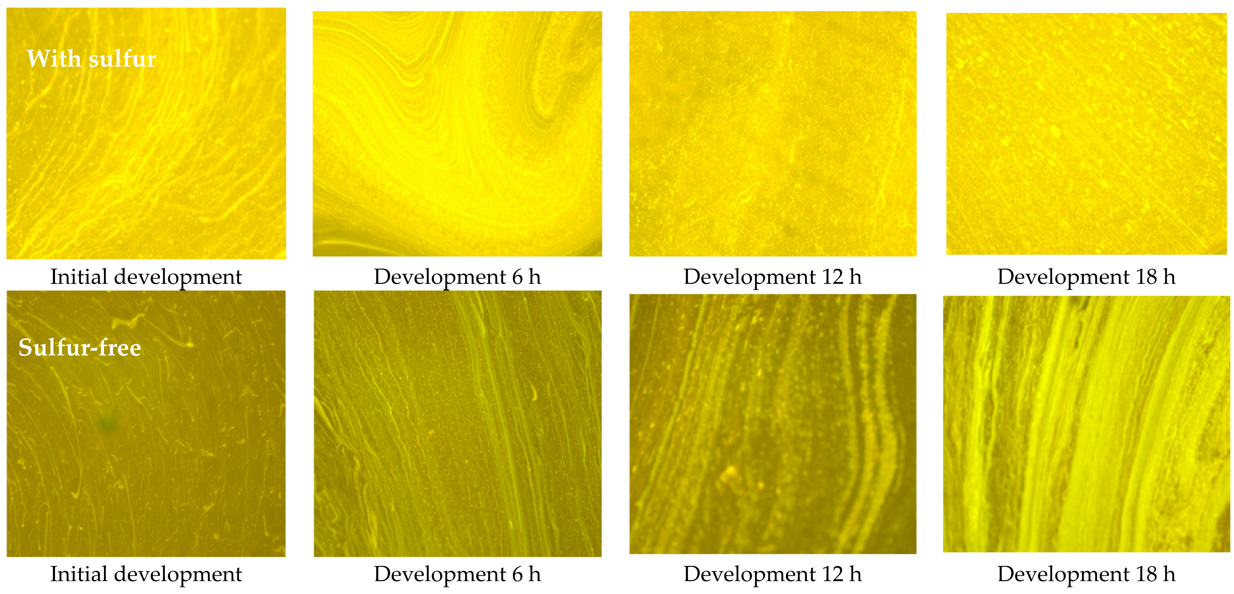 Applsci 12 07304 g009