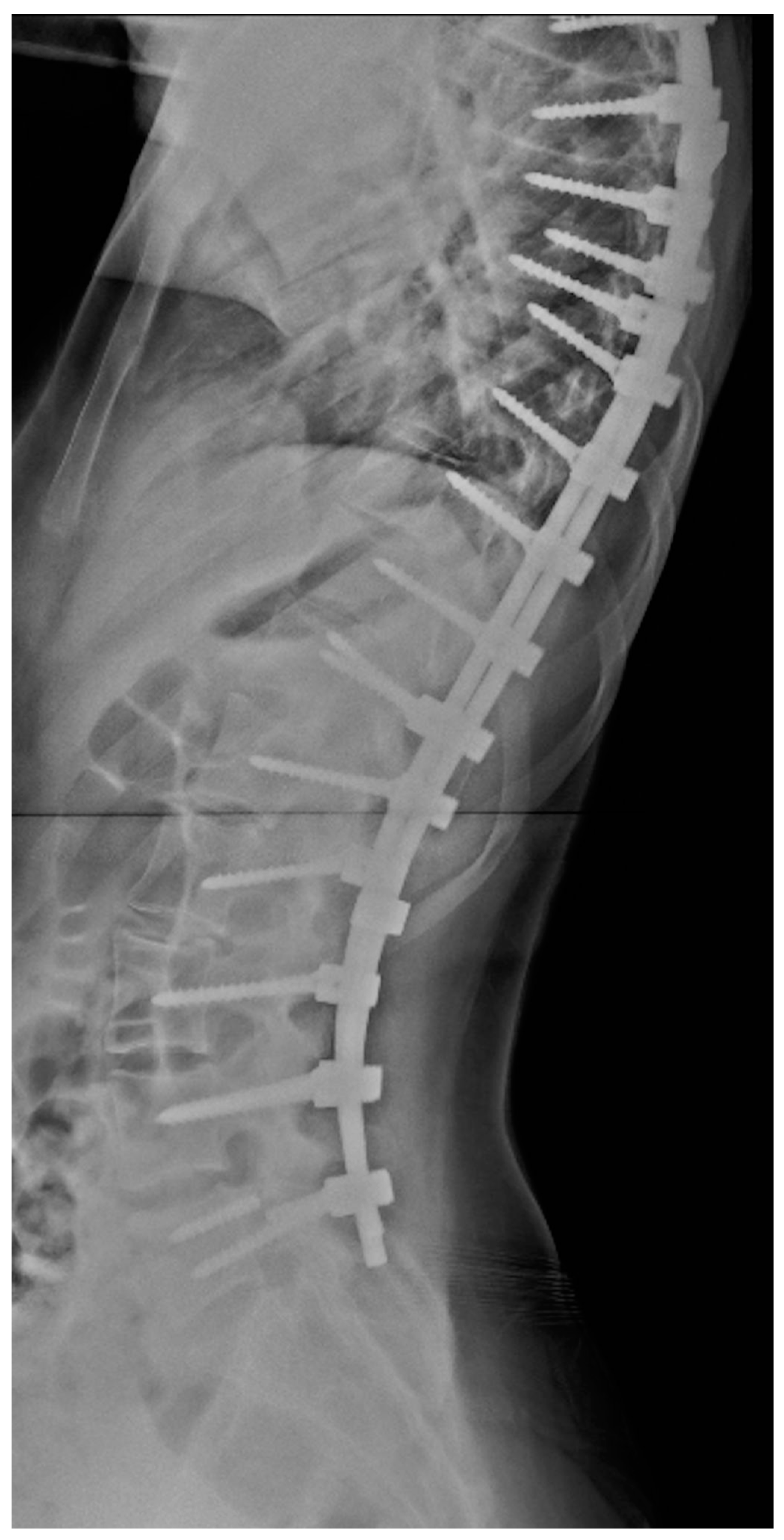 Applsci 12 07305 g001 Applsci 12 07305 g001