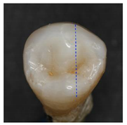 Applsci 12 07312 i002 Applsci 12 07312 i002