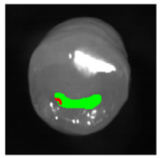 Applsci 12 07312 i003 Applsci 12 07312 i003