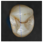 Applsci 12 07312 i005 Applsci 12 07312 i005