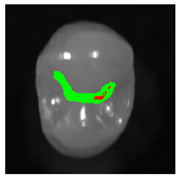 Applsci 12 07312 i006 Applsci 12 07312 i006