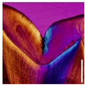 Applsci 12 07312 i007 Applsci 12 07312 i007