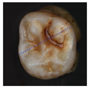 Applsci 12 07312 i008 Applsci 12 07312 i008