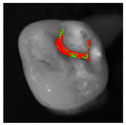 Applsci 12 07312 i009 Applsci 12 07312 i009