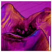 Applsci 12 07312 i010 Applsci 12 07312 i010