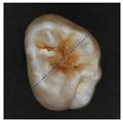 Applsci 12 07312 i011 Applsci 12 07312 i011