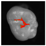 Applsci 12 07312 i012 Applsci 12 07312 i012