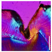 Applsci 12 07312 i013 Applsci 12 07312 i013