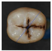 Applsci 12 07312 i014 Applsci 12 07312 i014