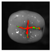 Applsci 12 07312 i015 Applsci 12 07312 i015