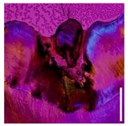 Applsci 12 07312 i016 Applsci 12 07312 i016