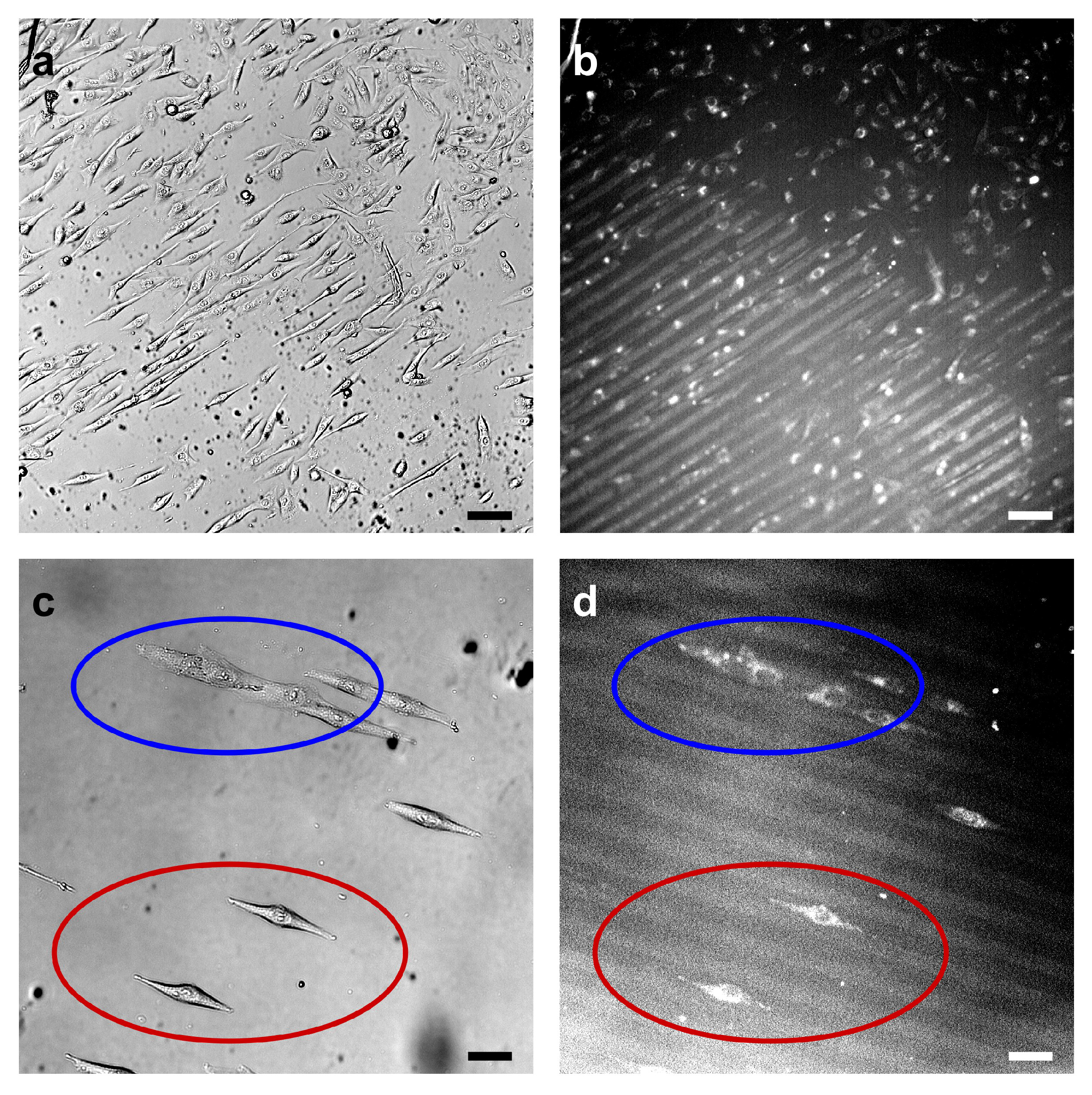 Applsci 12 07329 g003