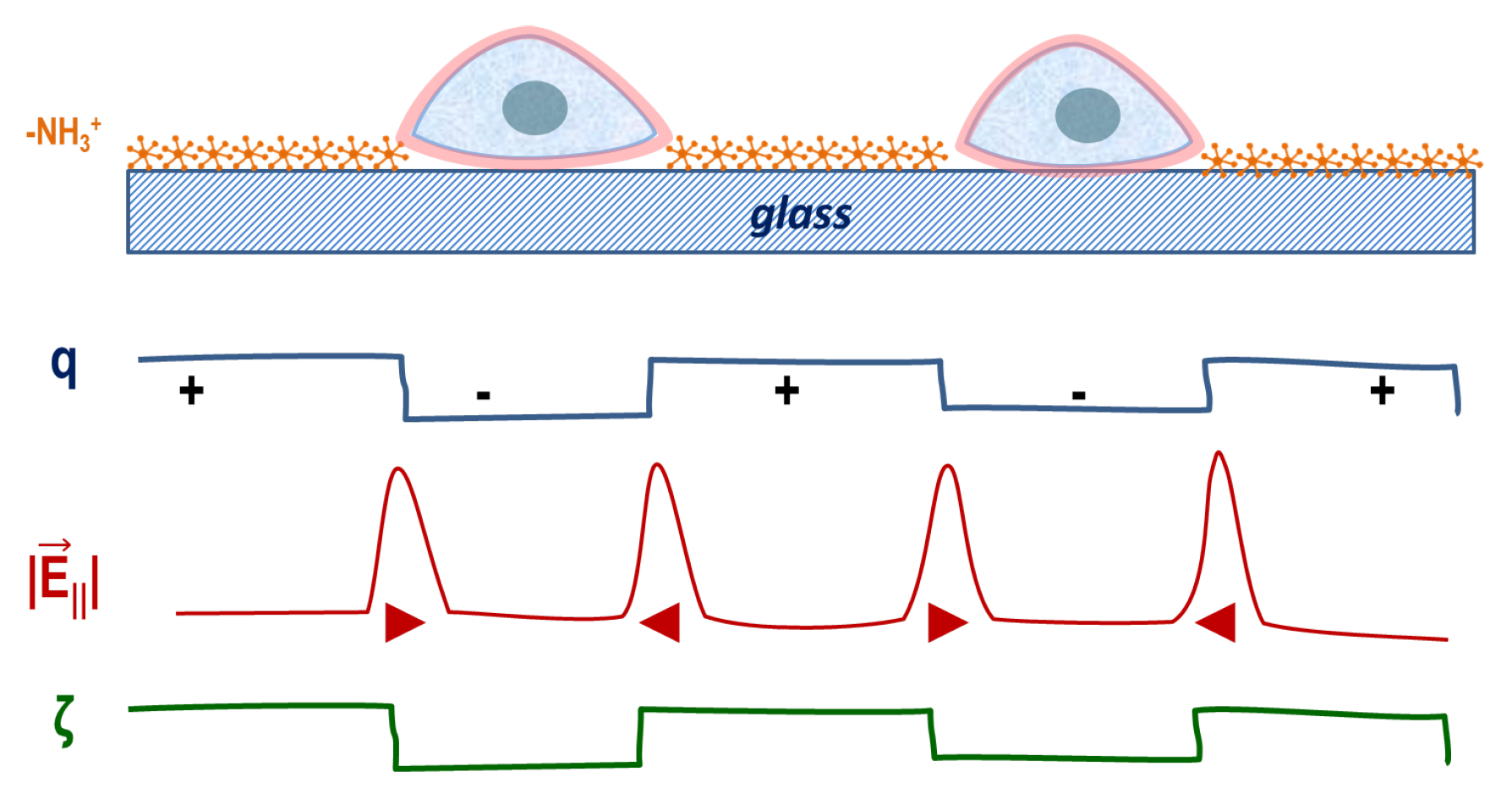 Applsci 12 07329 g006