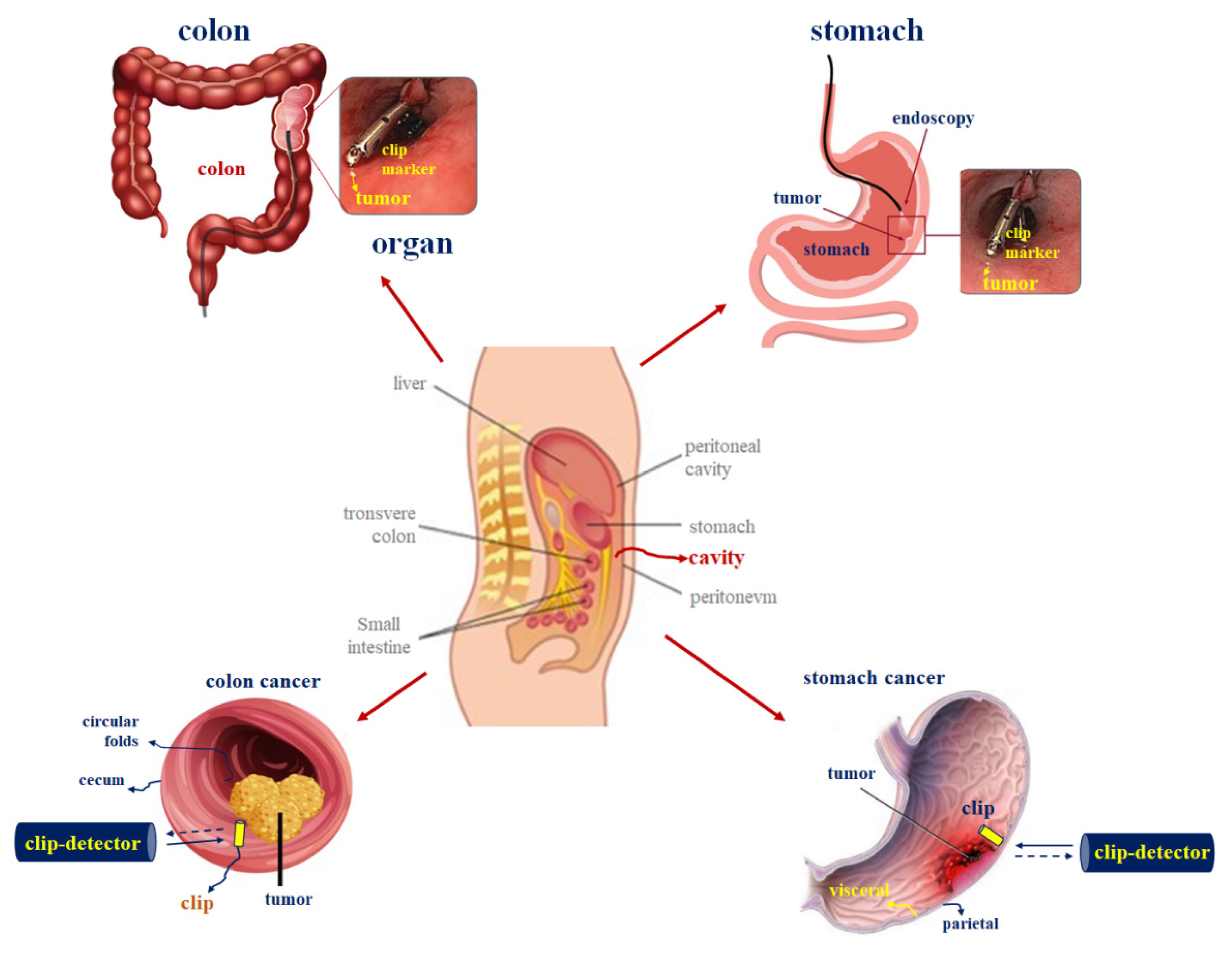 Applsci 12 07330 g001