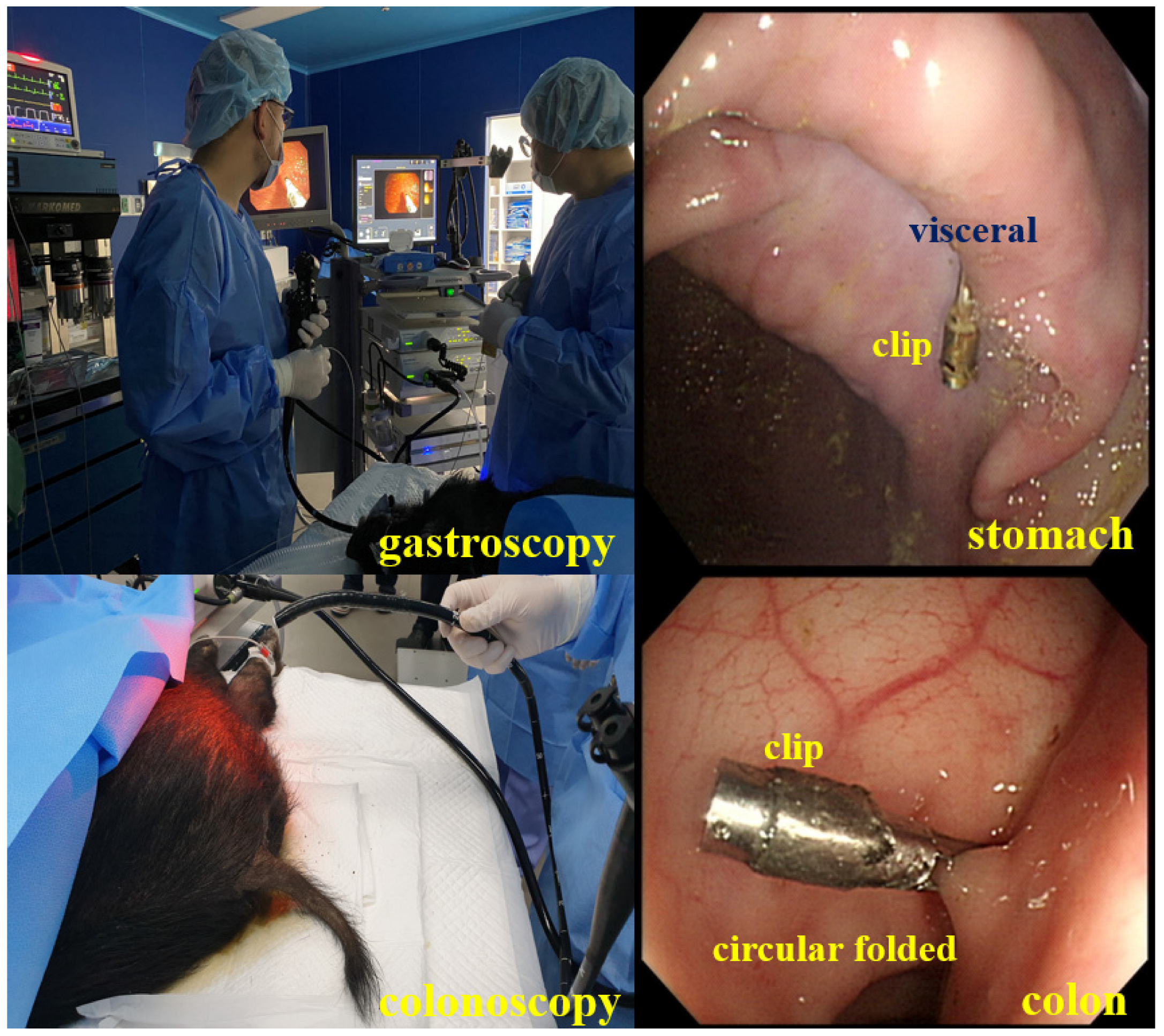 Applsci 12 07330 g014