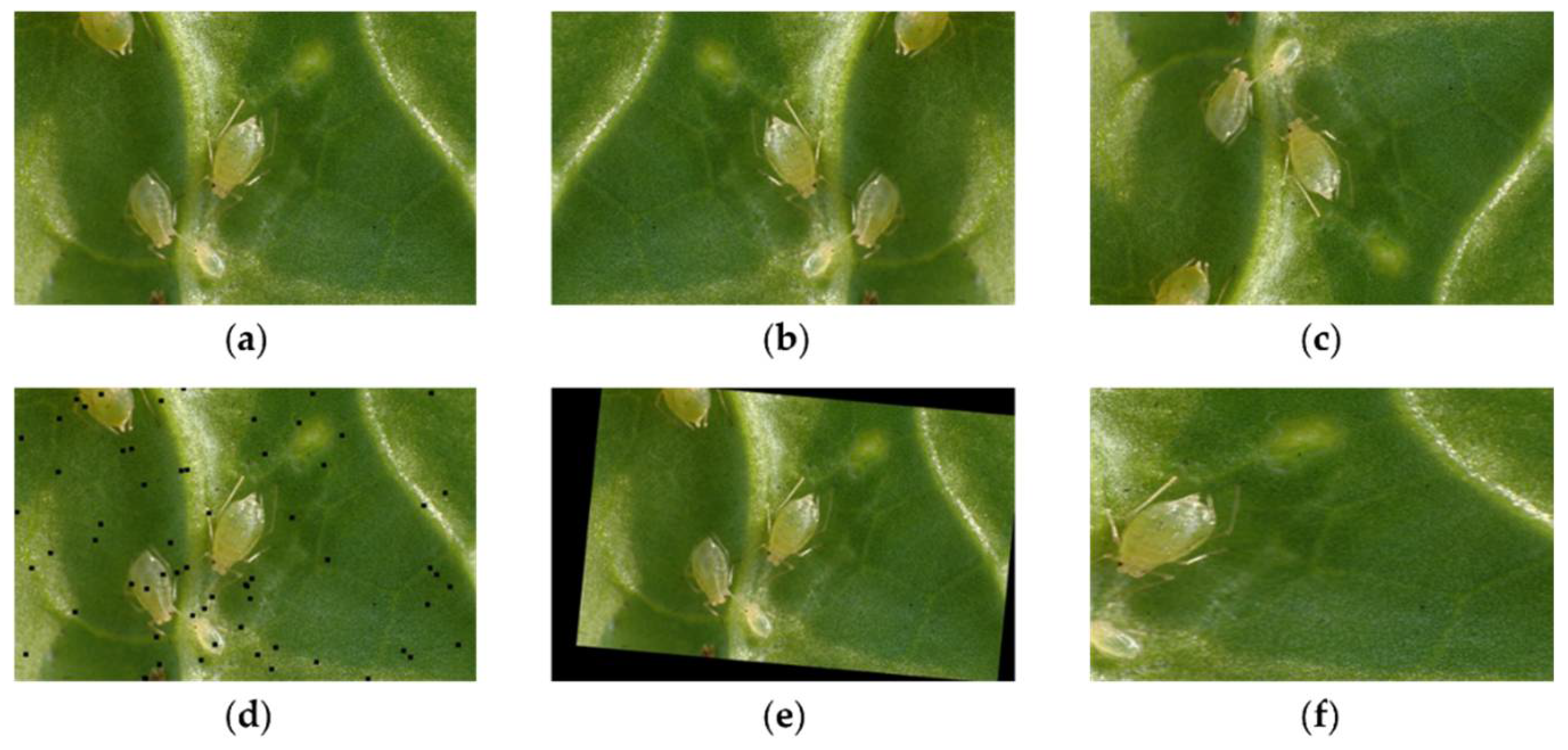 Applsci 12 07378 g001