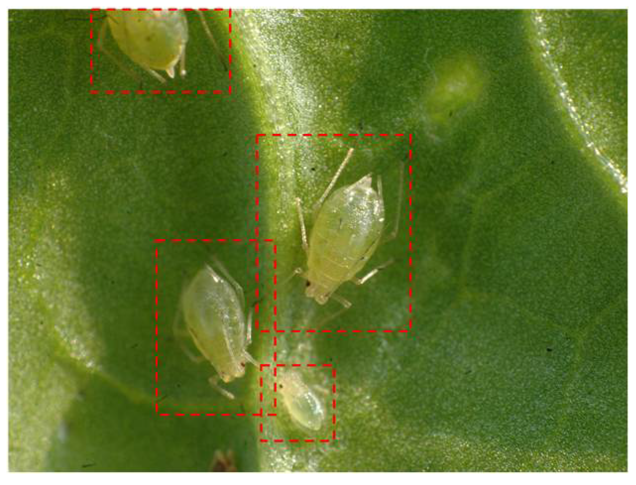 Applsci 12 07378 g006