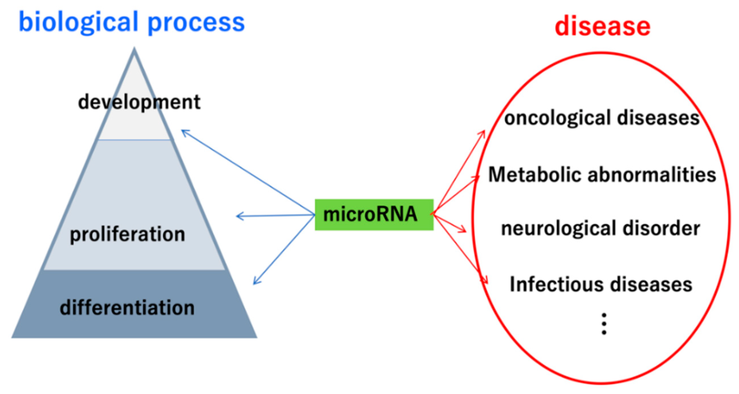 Applsci 12 07390 g001