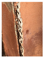 Applsci 12 07403 i004