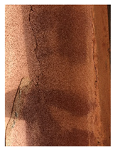 Applsci 12 07403 i022