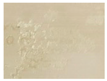 Applsci 12 07403 i025