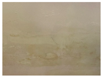 Applsci 12 07403 i028