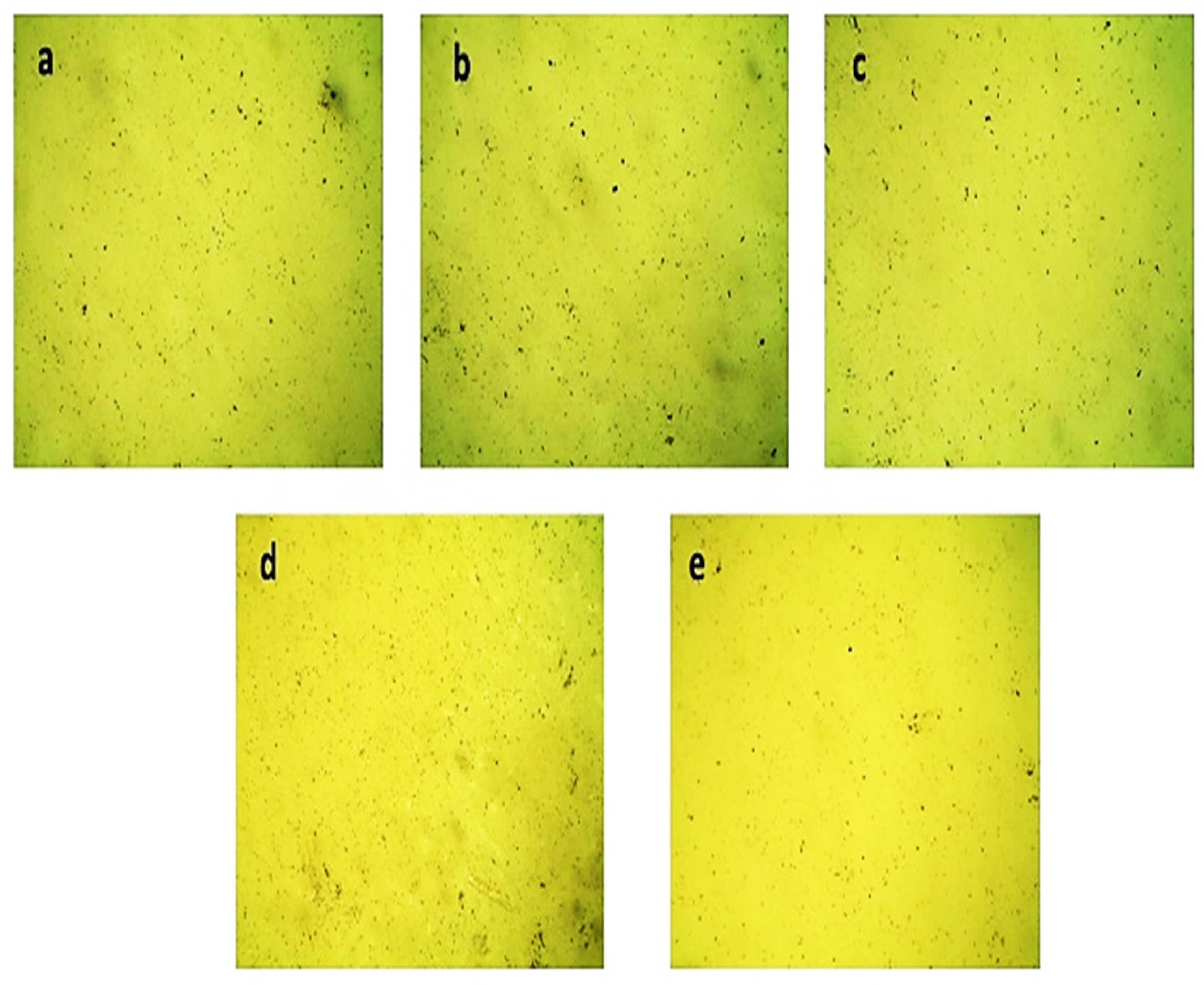 Applsci 12 07412 g006