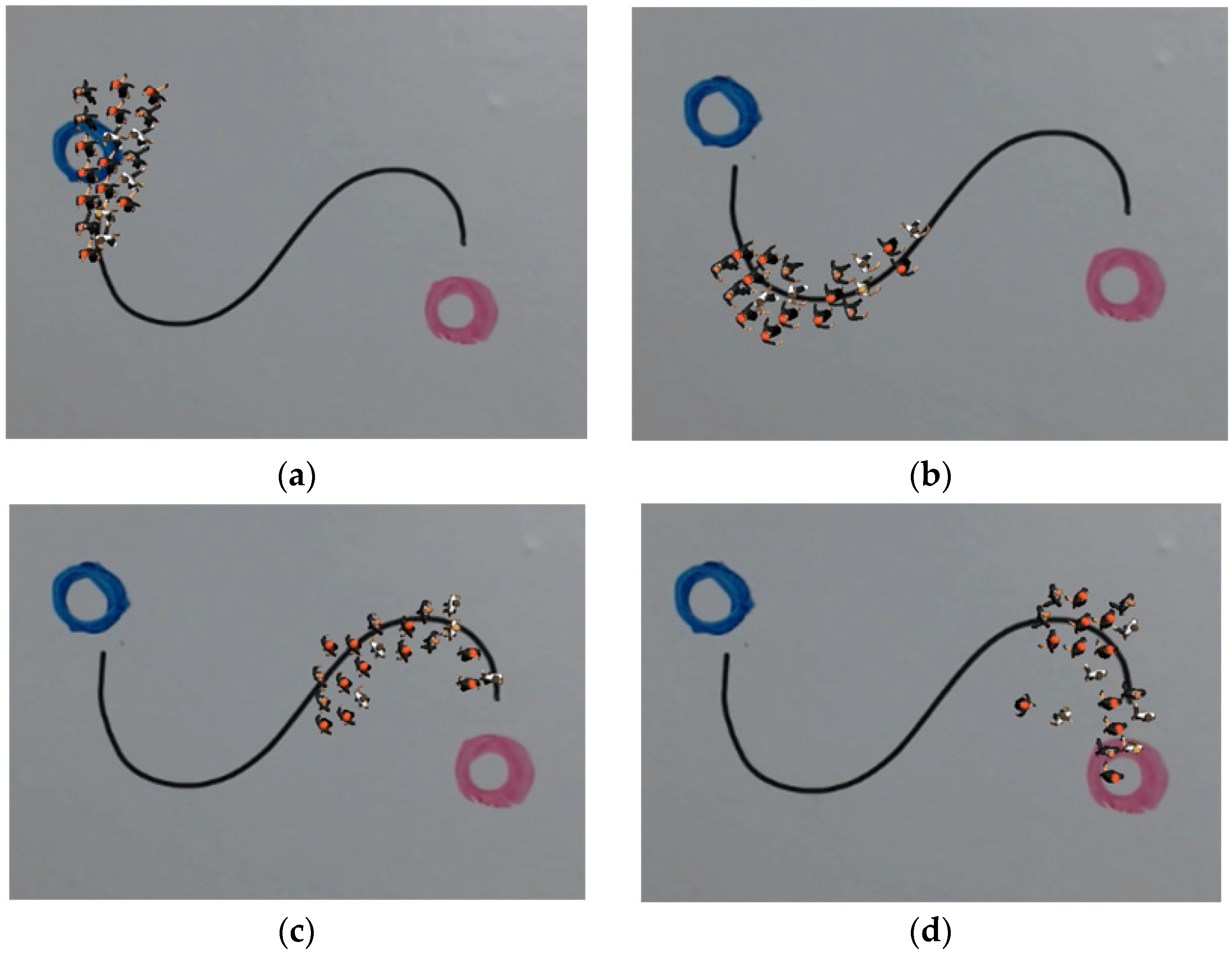 Applsci 12 07416 g011