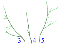 Applsci 12 07432 i007 Applsci 12 07432 i007