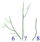 Applsci 12 07432 i011 Applsci 12 07432 i011