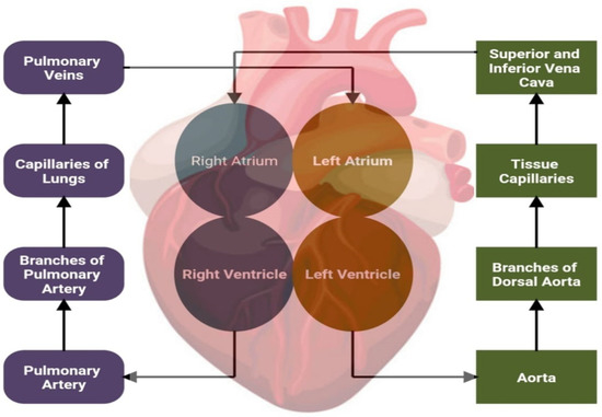 Applsci 12 07449 g001 550