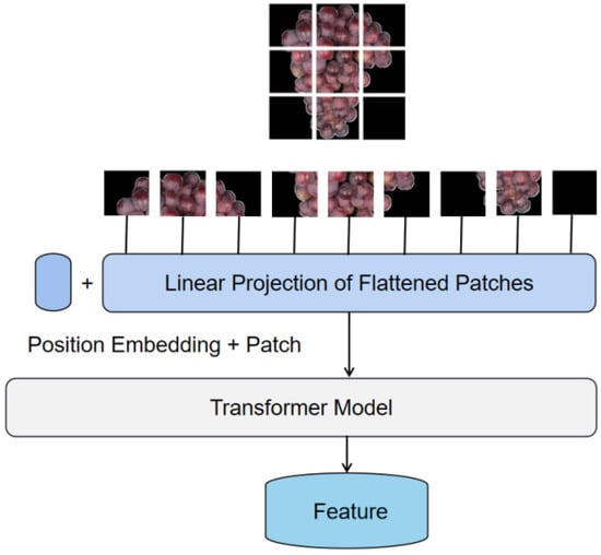 Applsci 12 07474 g005 550