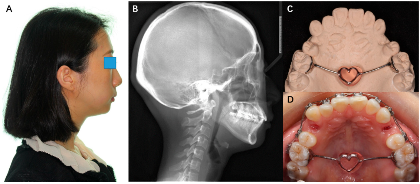 Applsci 12 07497 g003