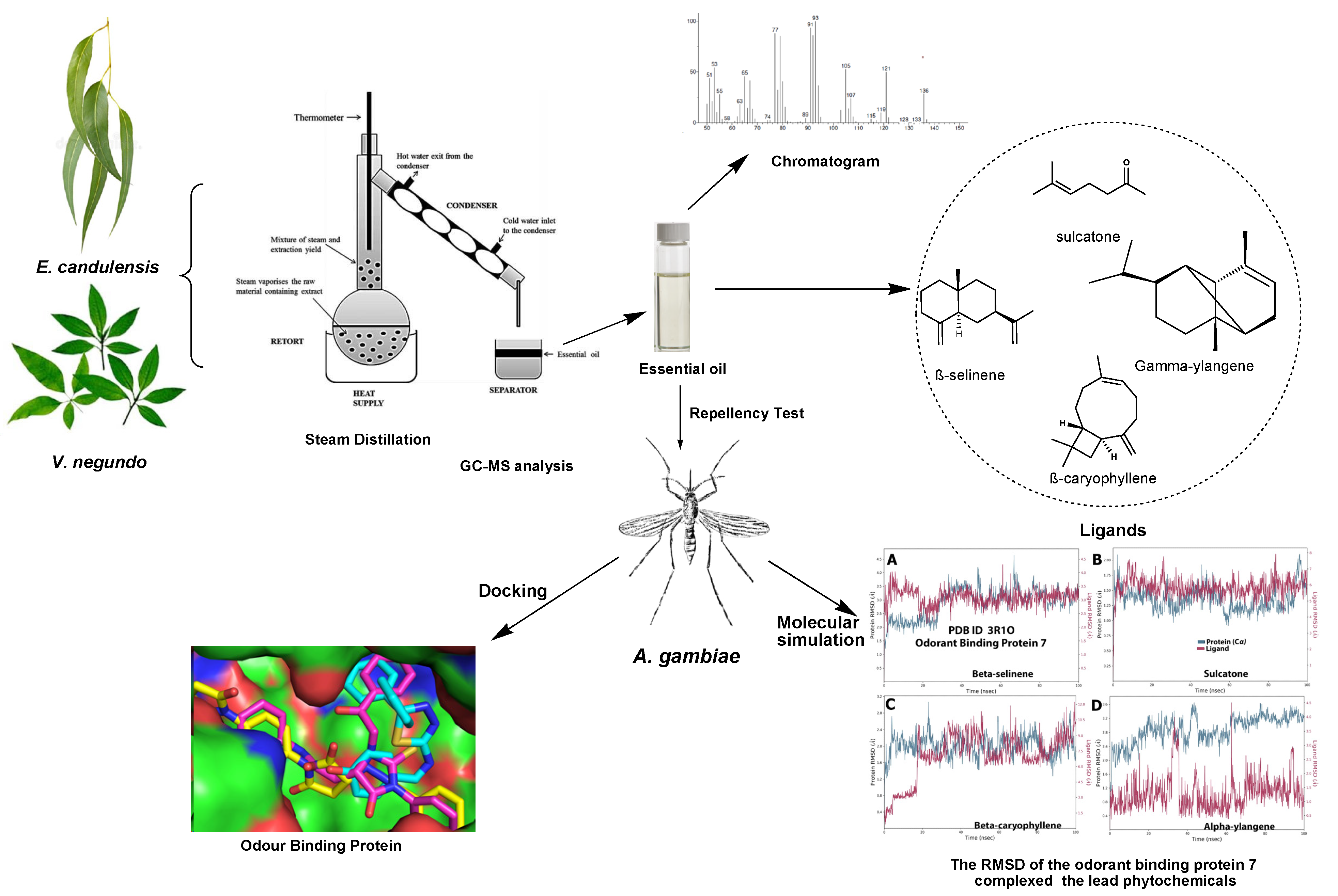 Applsci 12 07500 g001 Applsci 12 07500 g001
